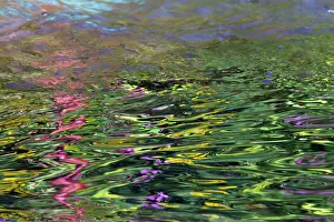 Balsam: Reflections in Hill Stream