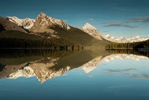 Moutain: Reflections in Maligne Lake