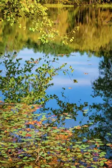Virginia: Reflections, Otter Lake, Blue Ridge Parkway, Virginia, USA