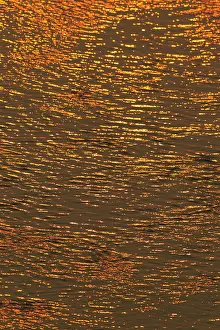 Watery: Reflections of the setting sun