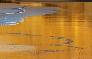Haney: Reflective wet sand at sunrise, Cape Kiwanda in