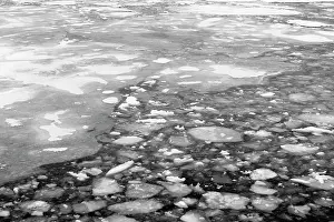 Ross: Refreezing of Pack Ice