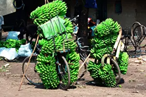 Bicycle: The region, very fertile thanks to the ancient volcanoes