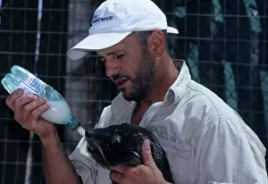 Rehabilitation: Rehabilitator feeding seal