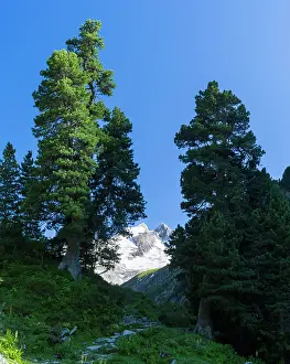 Alpen: Reichenspitz mountain range in the Zillertal
