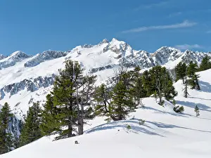 Cembra: Reichenspitze mountain range (Zillertertal