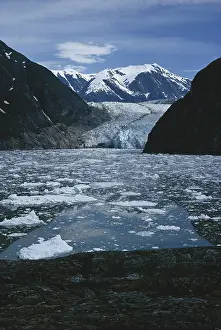 Terminal: Reid Glacier
