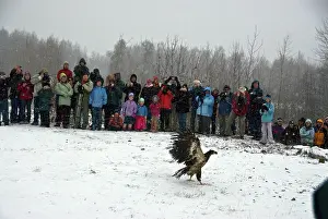Spectator: Releasing Bald Eagles into the wild