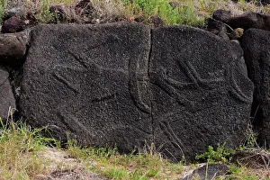 Frigatebirds: Relief carvings of frigatebirds on Ahu (ceremonial