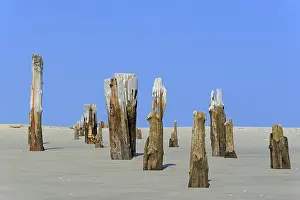 Remains: Remains of a jetty in the sand under a blue sky