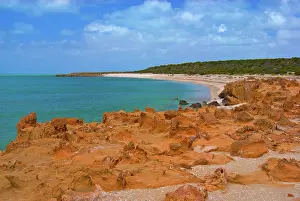 Timothy: A remote section of the shoreline of Shark