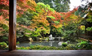 Acer: Rengeji temple garden in autumn in Ky&, x134bec;