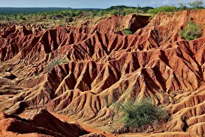 Colombia: Republic of Colombia, Tatacoa Desert, landscape