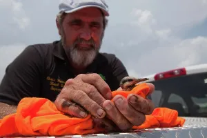 Chris: Rescue of Oiled Baby Tern