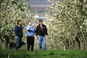 Orchards: Research in pear orchard