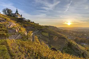 Home: Restaurant Spitzhaus in the autumnal vineyards of OberloBnitz at sunrise