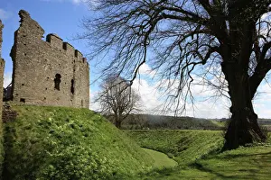 Paul Felix: Restormel Castle the 13th century circular keep