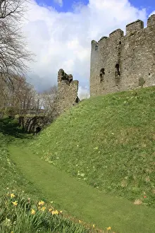 Paul Felix: Restormel Castle the 13th century circular keep