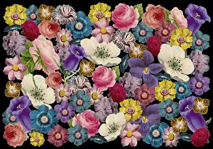 Packaging: Retro Floral Collage