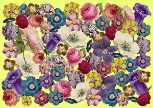 Packaging: Retro Floral Collage