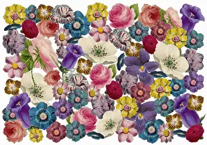 Packaging: Retro Floral Collage
