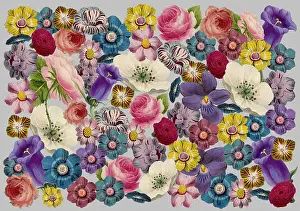 Packaging: Retro Floral Collage