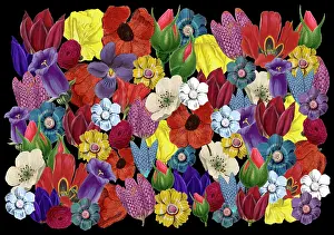 Packaging: Retro Floral Collage