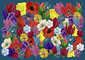 Packaging: Retro Floral Collage