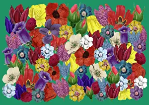 Packaging: Retro Floral Collage