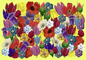 Packaging: Retro Floral Collage