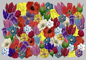 Packaging: Retro Floral Collage