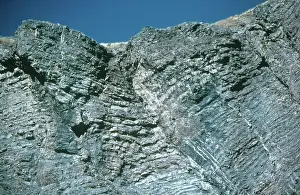 Fold: Reverse Fault