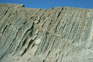 Tilted: Reverse Fault