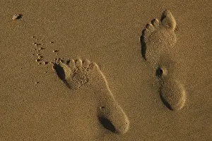Imprint: Reversed human footprints on the beach, The Netherlands