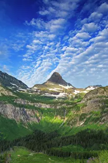 Logan: Reynolds Mountain in morning light in Glacier
