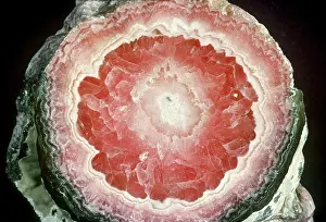 Rhodochrosite: Rhodochrosite