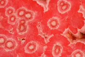 Rhodochrosite: Rhodochrosite - Argentina