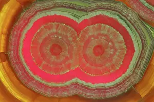 Rhodochrosite: Rhodochrosite - Argentina - manganese carbonate