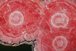 Rhodochrosite: RHODOCHROSITE - an ore of Manganese. Mn Co3
