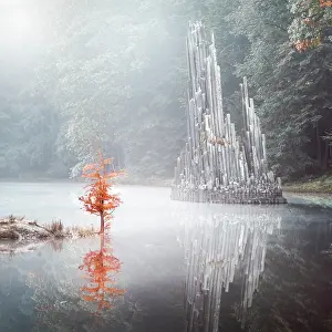 Angular: Rhododendron Park, Kromlau, Saxony, Germany, Europe