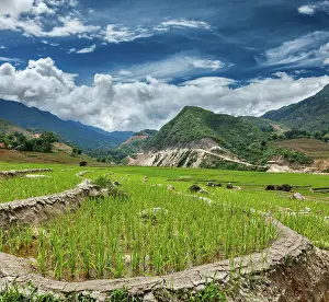 Contamination: Rice field terraces (rice paddy). Near Cat Cat