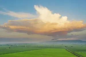 Paddy: Rice fields (Oryza sativa) and isolated cumulus