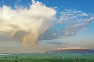 Paddy: Rice fields (Oryza sativa) and isolated cumulus