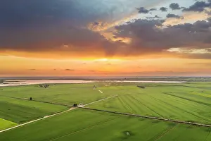 Delta: Rice fields (Oryza sativa) and lagoons at sunrise