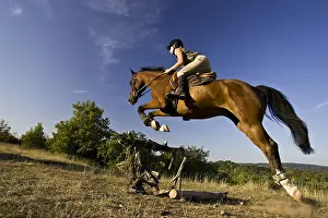 Knights: Rider on horse jumping over a trunk France