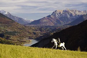 Tops: Rider on horseback Arabian galloping Plateau Mathesin France