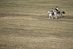 Knights: Riders galloping on Barbe stallions breeding