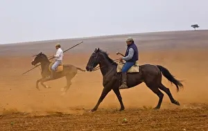 Knights: Riders pushing a herd of bulls Andalusia Spain