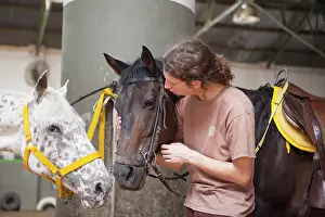 Race: Riding instructor whispering in the ear of a horse
