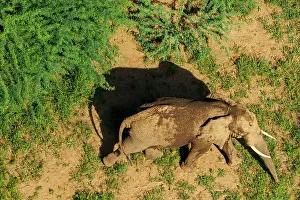 Rift: Rift valley at Lake Magadi in Kenya with elephant